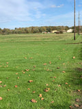 20 Industrial Manufacturing Acres - Vacant Industrial Land - Linton, Indiana